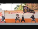 【安芸ひろしま武将隊】2019.10.27／ひろしまフードフェスティバル2019＜広島城ステージ＞