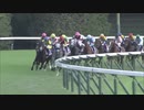 【競馬】第160回 天皇賞(秋) (G1) 2019