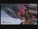 【ＳＥＫＩＲＯ】ウチの隻狼は迷ってばかり【第五十三幕】