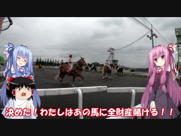 琴葉姉妹と行く釣行記録（車載編part9 8/11）