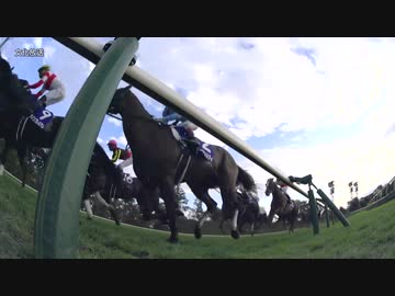 2019年 天皇賞(秋) アーモンドアイ 民放全実況【RN・CX・LF・QR・KR・RF・MBS・英語実況】