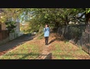 【みのひ】ハッピーシンセサイザ 踊ってみた【初投稿】