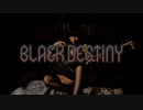【Hiraoman企画】BLACK DESTINY【あみ曲】