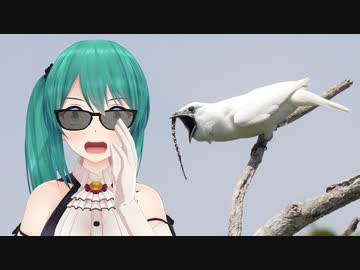 スズドリ(神楽すず)