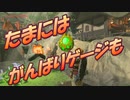 【実況】ゼルダの伝説 BREATH OF THE WILD　Part48【初見】