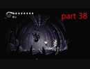 【初見実況】 Hollow Knight  part38【飲酒注意】