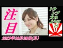 予告22すまたん、トランプ、犬のようにＩＳ。菜々子の独り言　2019年10月28日(月）