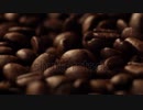 offee-beans-close-up-of-seeds-of-coffee-beautiful アセアンファーム合同会社