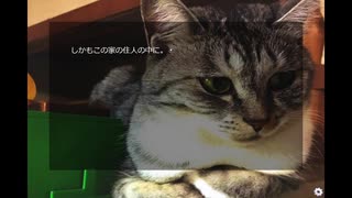 猫ミステリーホラー「サバ身たちの夜」初見プレイ #2