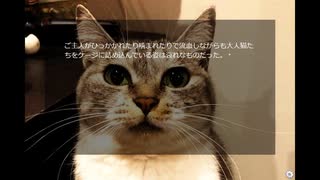 猫ミステリーホラー「サバ身たちの夜」初見プレイ #3