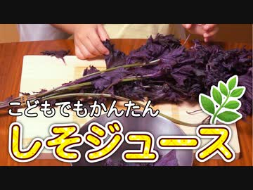 しそジュースをつくろう【つっつクッキン!】