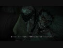 #23【脳縛り】ウィッチャー３ワイルドハントコンプリートエディション・下ﾈﾀ実況【８日目】