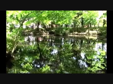 【音楽と動物】石神井公園に住まう生き物たち Vol.2