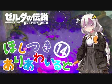 【ゼルダの伝説BotW】ほしつきありあわいるどPart14【VOICeVI実況】