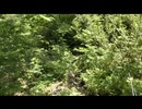 富山県道５４号　険道区間　その１