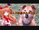 【ゆっくり】終わった人生の私がワンチャンをかけて百姓する　25日目
