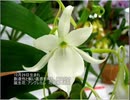 誕生日に贈る言葉～10月29日生まれの創造性豊かなあなたに－聴きものがたり