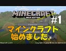 【マイクラ #1】マインクラフト始めました【女性実況】