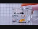 NPET ペット用自動給水器 WF020TP 猫 水飲み器