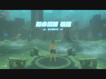【ゆっくり実況】ゼルダの伝説BotW マスターモード裸縛りのすゝめ #38