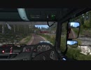 ETS2MP 例の道(?)の記録