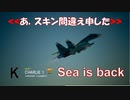 Ace Combat 7 Multiplayer422  バトルロイヤル  Su-33 + HVAA