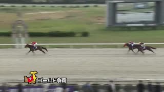 第37回ゴールド争覇 ケイマ