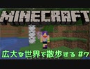 【実況プレイ】広大な世界で散歩する【Minecraft】【第四回】#7