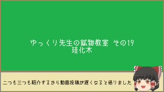 ゆっくり先生の鉱物教室【その19 珪化木】