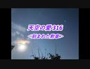 天空の愛316刻まれた勲章