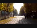 Freedom Avenue Timelapse　左近鈴乃