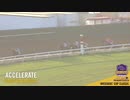 2018年 第28回 パシフィッククラシックステークス(Pacific Classic Stakes)アクセラレート(Accelerate)