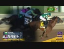 2018年 第7回 オーサムアゲインステークス(Awesome Again Stakes)アクセラレート(Accelerate)
