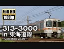 【JR東海】313系3000番台 in 東海道線 ～Collection Vol.06～