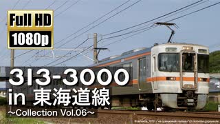 【JR東海】313系3000番台 in 東海道線 ～Collection Vol.06～