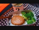 【北アルプスで】ぼっちが山へいったようです。【テント泊】