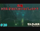 【続編決定記念】のんびりと伝説「ゼルダの伝説～ブレスオブザワイルド～」　＃20
