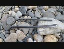 落ちていた釘でナイフを作る