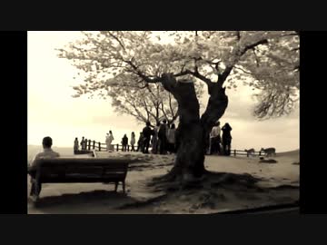 【Mr.children / くるみ】歌ってみた