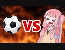 茜ちゃんVSサッカーボール