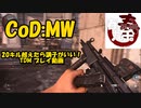 【平常】Call of Duty:MW TDM たまにある20キル越え。【運転】