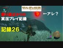 【寄り道ばかりの】ゼルダの伝説BotW【実況プレイ記録26】双子山の兄弟