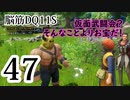 【実況】過ぎ去りし脳筋を求めて【DQ11S】　part47