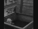 Michał Rz. Feluś - They Buried Me (The Day I Found You)