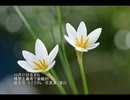 誕生日に贈る言葉～10月31日生まれの不屈の精神を持つあなたに－聴きものがたり