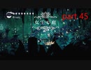 【攻略ガン見実況】 Hollow Knight  part45【飲酒注意】