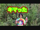 ブリブリメントスコーラ