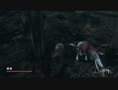 【SEKIRO】発売日からトロコンするまで【実況】　part45