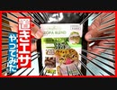 【置きエサで食べるの？】レオパブレンドフードをレオパ(ヒョウモントカゲモドキ )にあげたら凄すぎた！！【おすすめ】