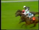 1987年 第174回 英1000ギニー(One Thousand Guineas Stakes)ミエスク(Miesque)